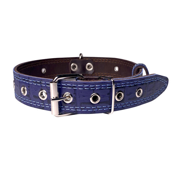 Dono Della ошейник универсальный двухслойный 25 мм. х 50 см., Синий кайман