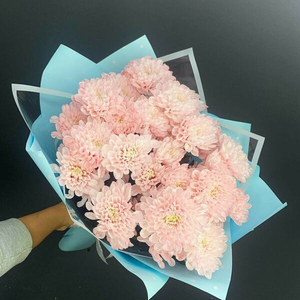 5 кустовых хризантем