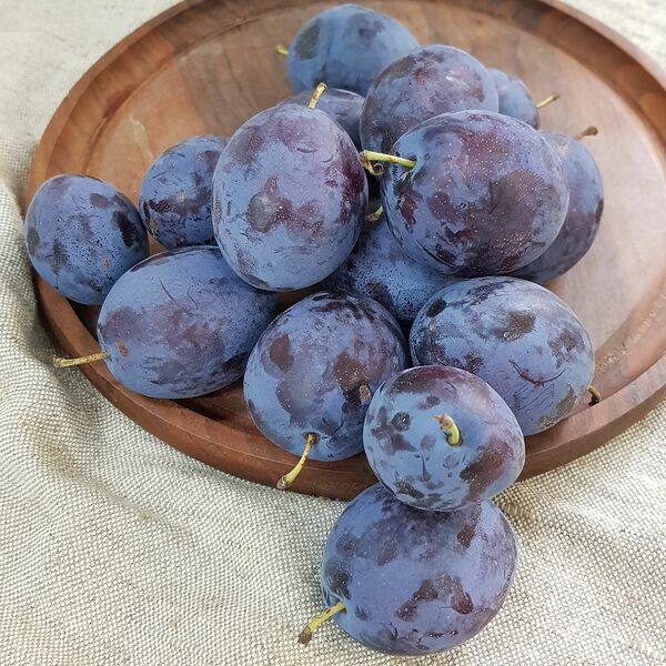 Слива Президент (Danilovskymarket)