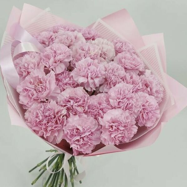 Букет Диантус (Гвоздика) розовая