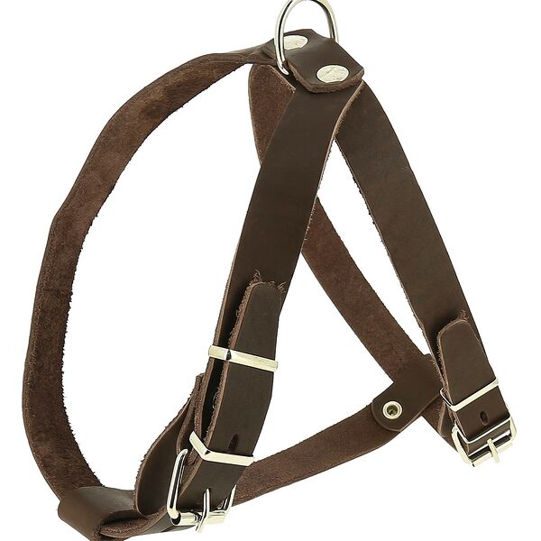 Каскад шлейка кожаная шея 39-47 см, грудь 43-51 см