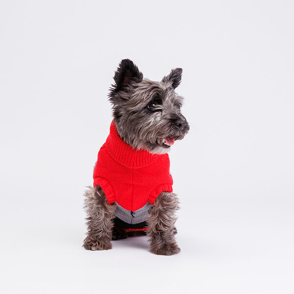 Свитер для собак 40 см, красно-черный