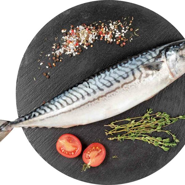 Скумбрия замороженная, неразделанная