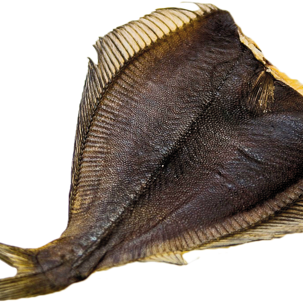 Камбала вяленая вес.