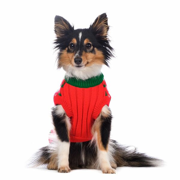 Свитер для собак XS красный (унисекс)