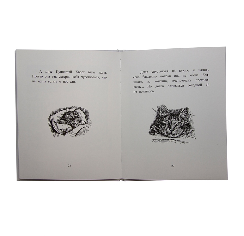 

Книга "Двое из чайника"