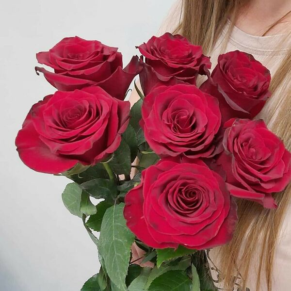 Букет 7 роз под ленту