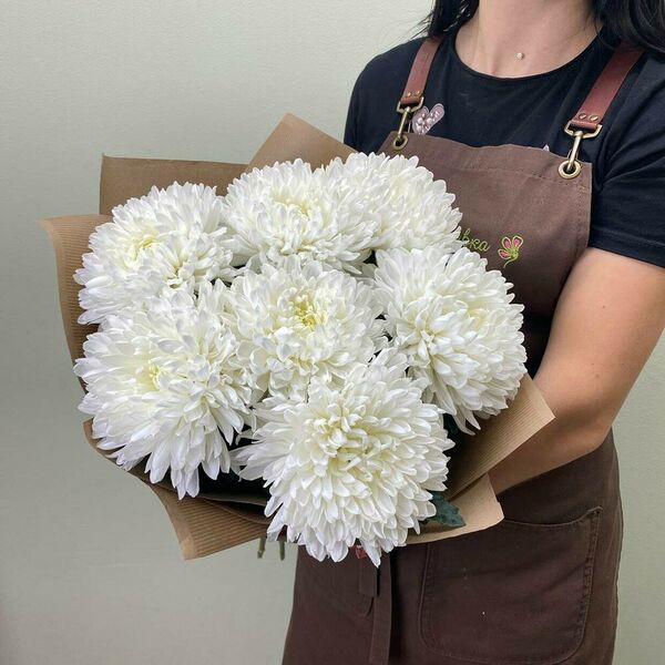 Букет из 7 одноголовых хризантем