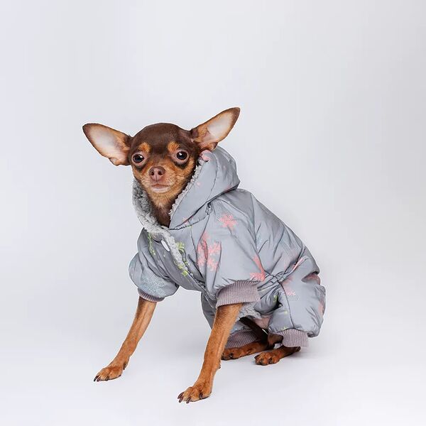 Комбинезон для собак со снежинками S серый (девочка)