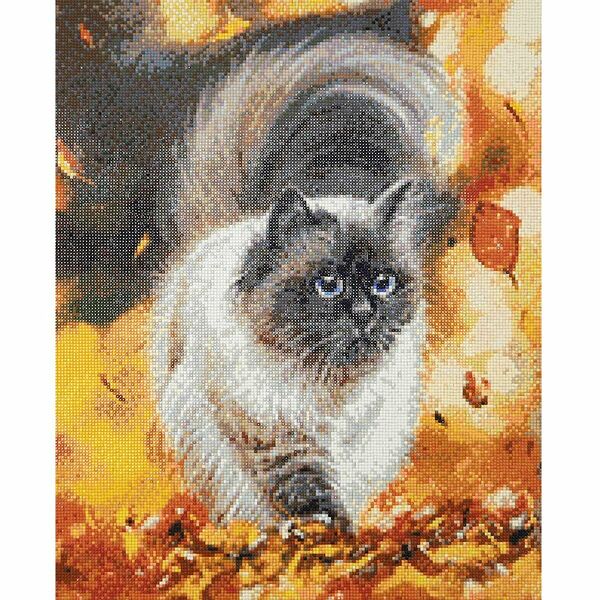 Cr 450093 Алмазная мозаика 'На встречу приключениям', 40*50 см, Cristyle