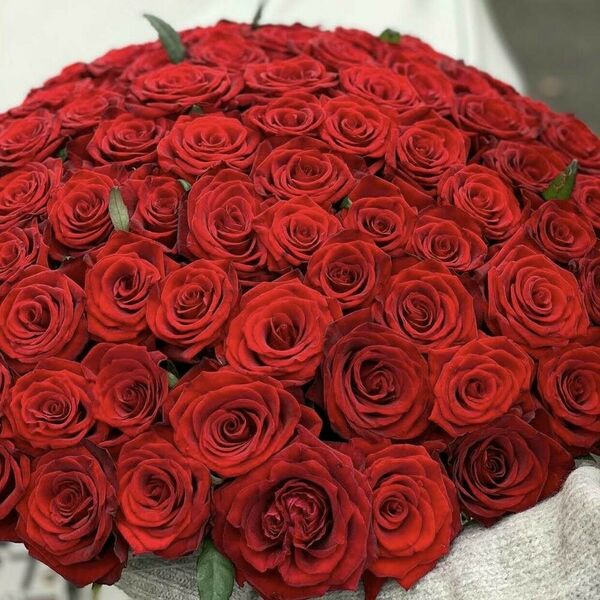 51 Красная роза