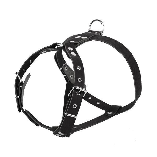 Шлейка для собак ш0ч Акрон №0 водильная черная