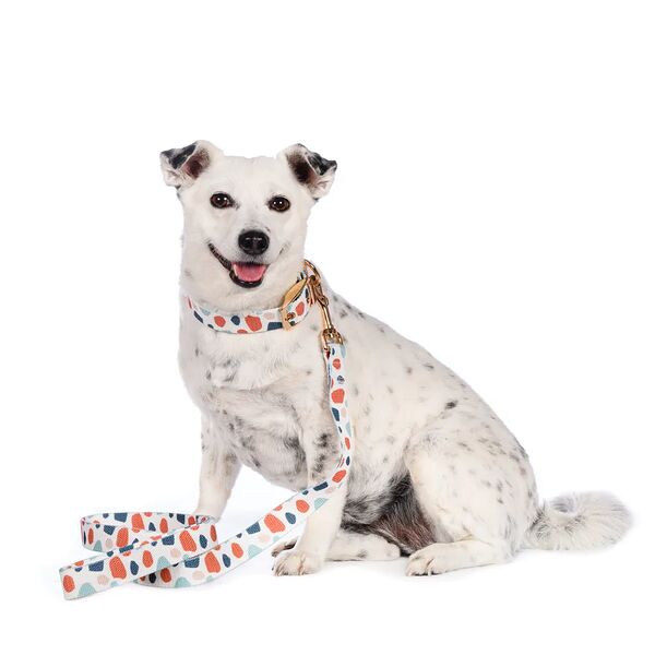 Поводок белый с пятнами 2,5см 120см