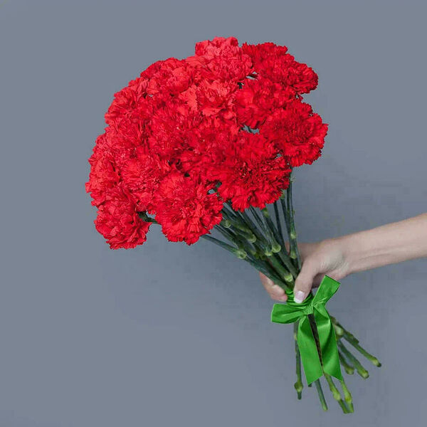 Монобукет Сортовая Гвоздика 21шт под ленту