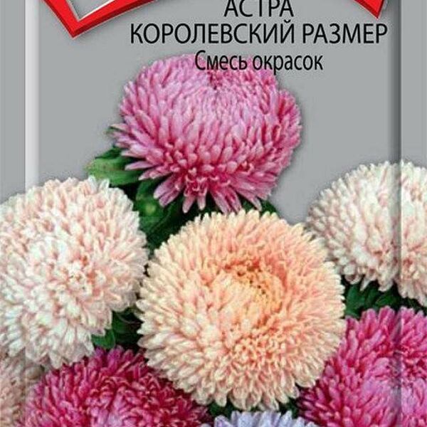 Семена Астра Королевский размер ТМ Поиск