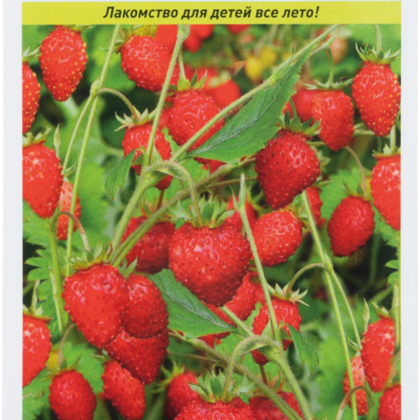 Семена РУССКИЙ ОГОРОД Земляника Руяна, 0,03г