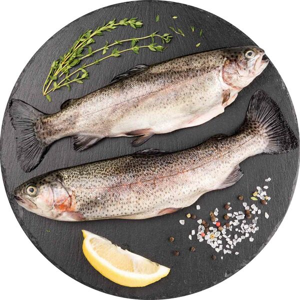 Радужная форель охлаждённая, потрошёная с головой, Турция, (1 штука ~ 350 г)