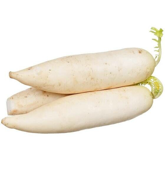 Дайкон