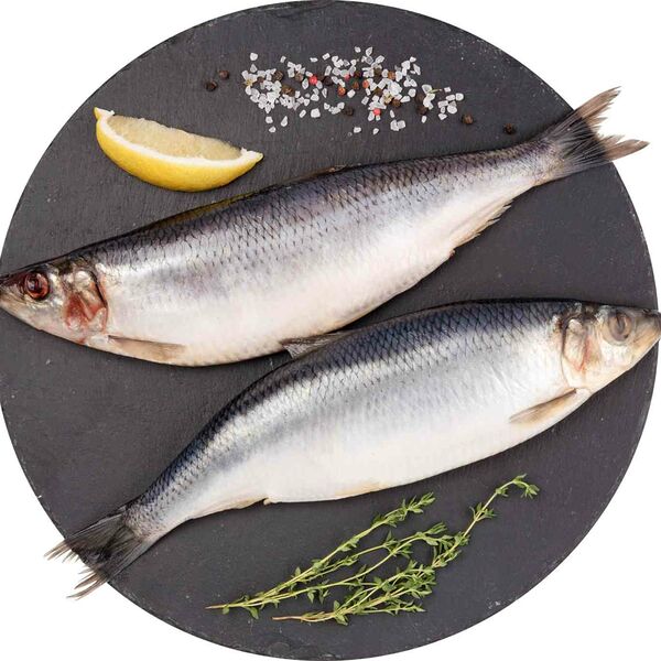 Сельдь атлантическая слабосолёная