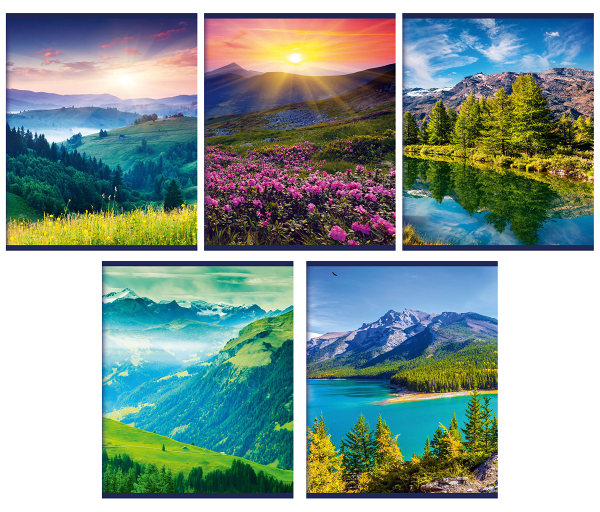 Тетрадь на скрепках 80 листов ТМ Academy Style (Академи Стайл)