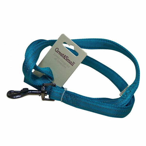 Поводок для собак GREAT&SMALL со светоотражающей острочкой 25х750мм нейлон бирюзовый