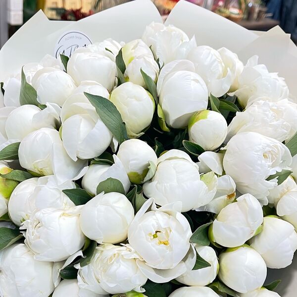 Букет из свежих белых пионов