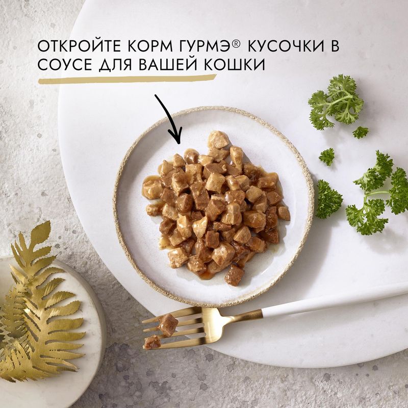 

Корм консервированный для взрослых кошек Gourmet Gold Кусочки в соусе с лососем и цыпленком 85 г