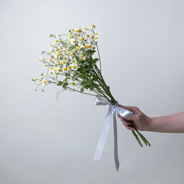 Букет цветов из Ромашка 