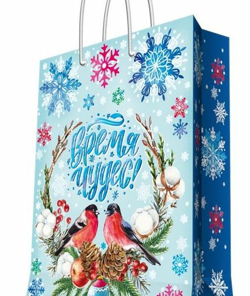 Бумажный пакет для сувениров, 26x32.4x12.7см