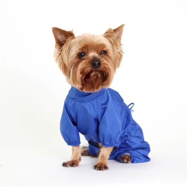 Дождевик для собак S синий (мальчик)