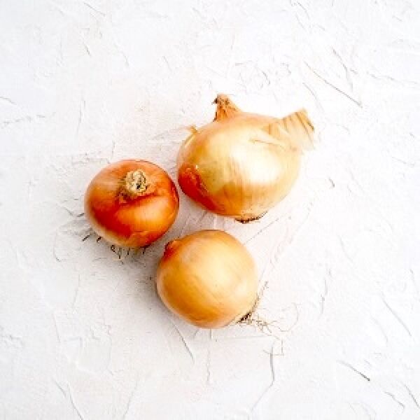 Репчатый лук