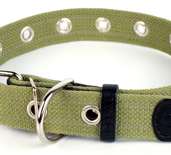 Collar ошейник брезентовый тесьма, безразмерный 35 мм. х 63 см.