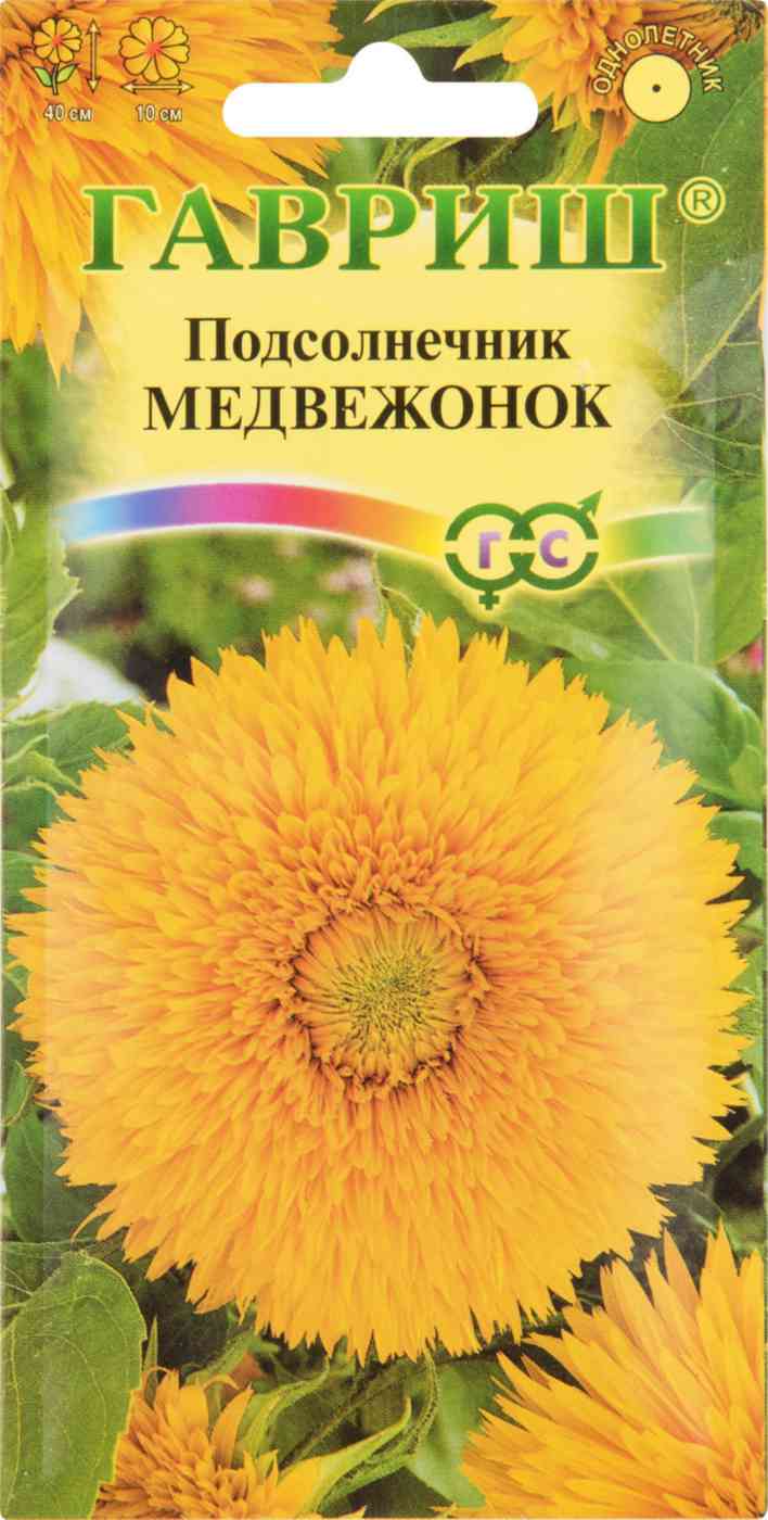 

Подсолнечник Медвежонок Гавриш