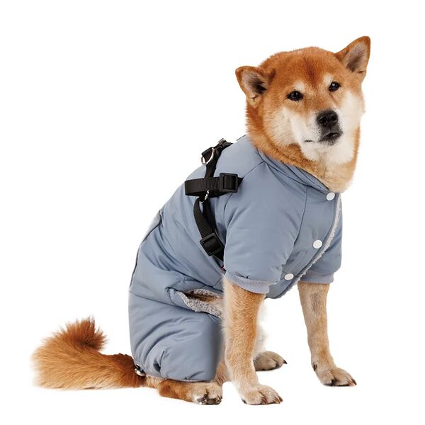 Комбинезон со шлейкой для собак 3XL голубой унисекс