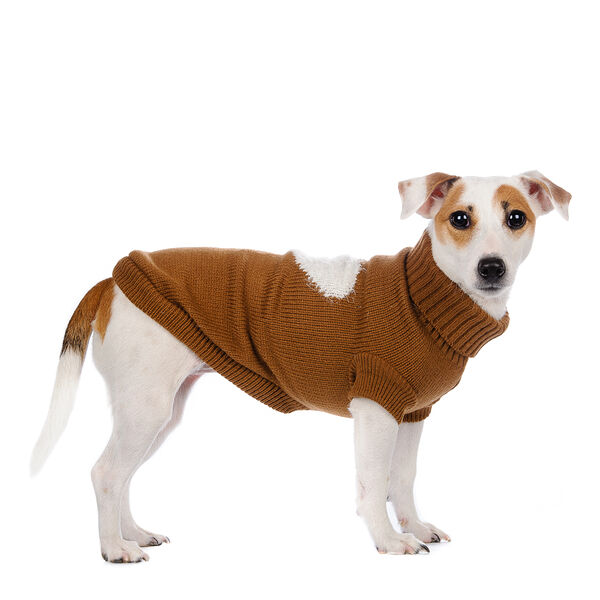Свитер для собак 4XL коричневый (унисекс)