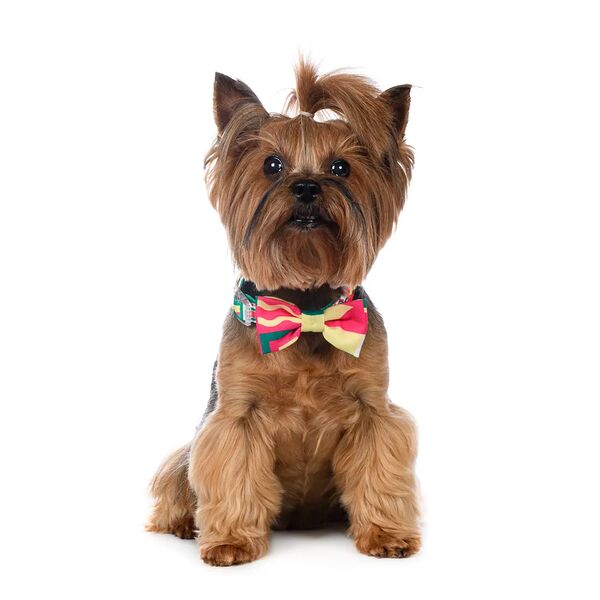 Галстук-бант зелено-малиновый M