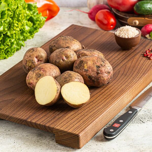 картофель Синеглазка