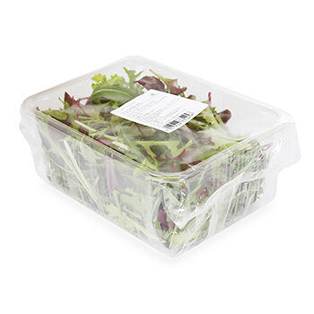 Салатная смесь Месклан