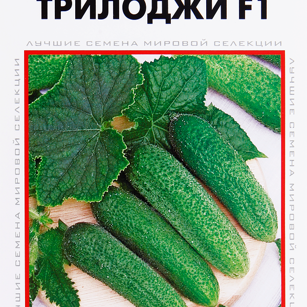 Семена ДОМ СЕМЯН Огурец Трилоджи F1, 6шт