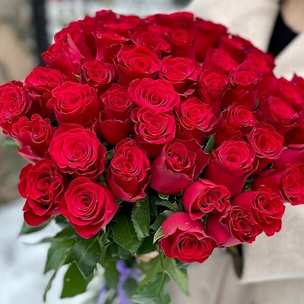 Букет из 51 красной розы Родос (50 см)