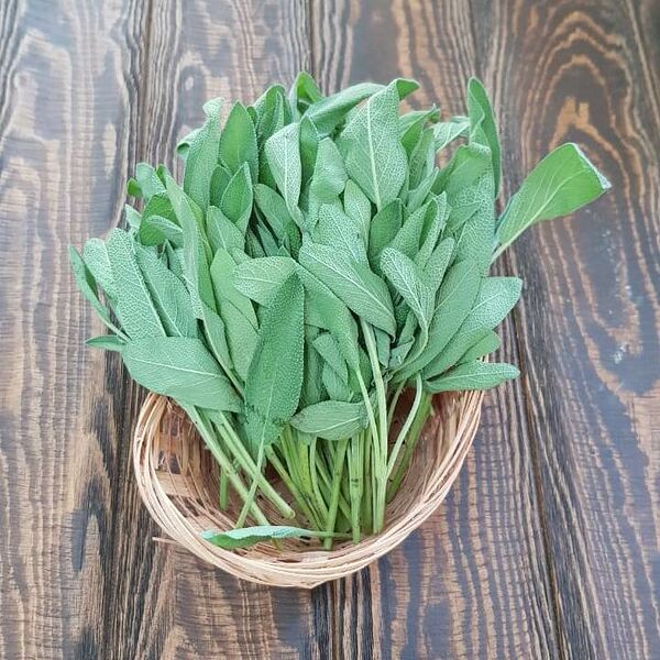 Шалфей, 30гр