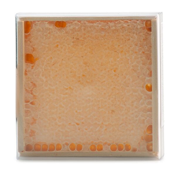 Мед ТД Мёдовед в сотах натуральный