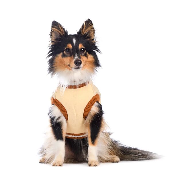 Свитер для собак 2XL бежевый (унисекс)