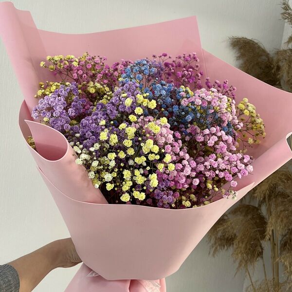 Радужная гипсофила