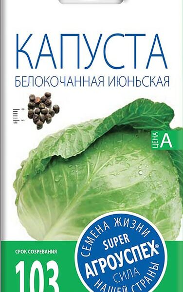 Семена Агроуспех Капуста белокочанная Июньская 0.5г