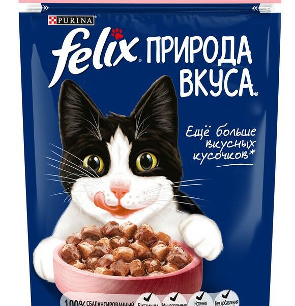 Felix Природа вкуса пауч для кошек (кусочки в соусе) Лосось, 75 г.