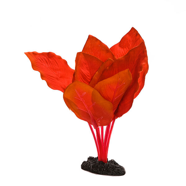 Декор для аквариума Анубиас Бартера, 13см