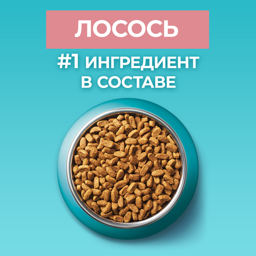 

Сухой корм для стерилизованных кошек Purina One с лососем 9.75 кг