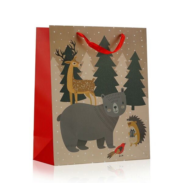 Пакет подарочный УРРА XN51