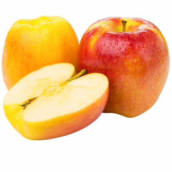 Яблоко Амброзия